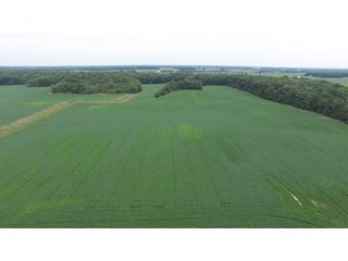 Property photo 6 - LAND AUCTION - 89.5+/- ACRES IN 3 TRACTS IN WILLIAMS COUNTY, OHIO
